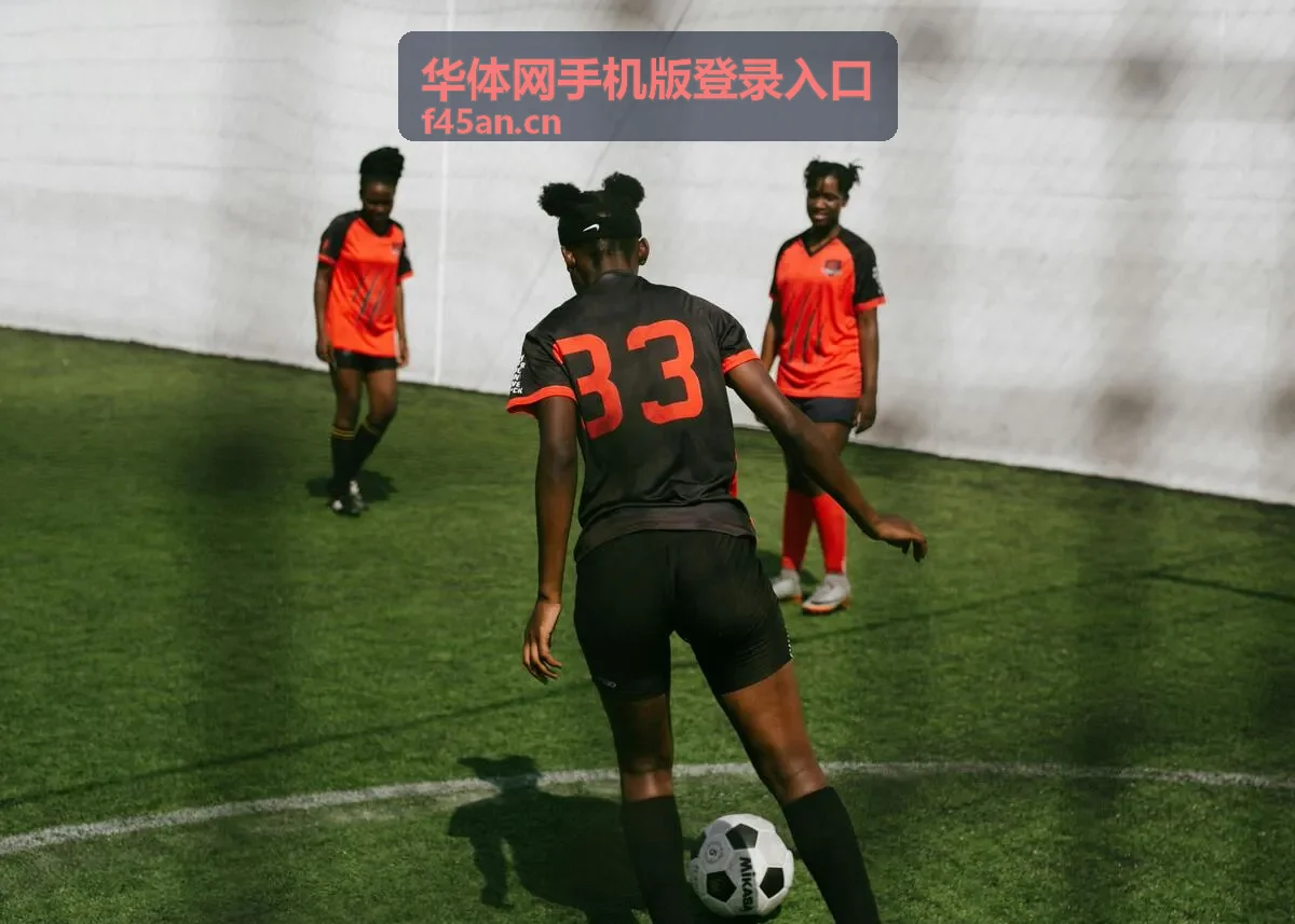华体网手机版登录入口手机端登录按钮位置演示