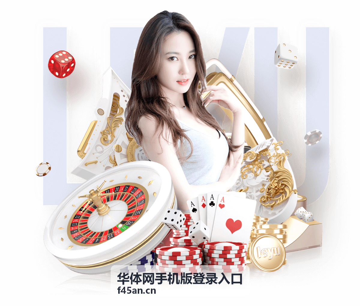 华体网手机版登录入口常见问题解答封面