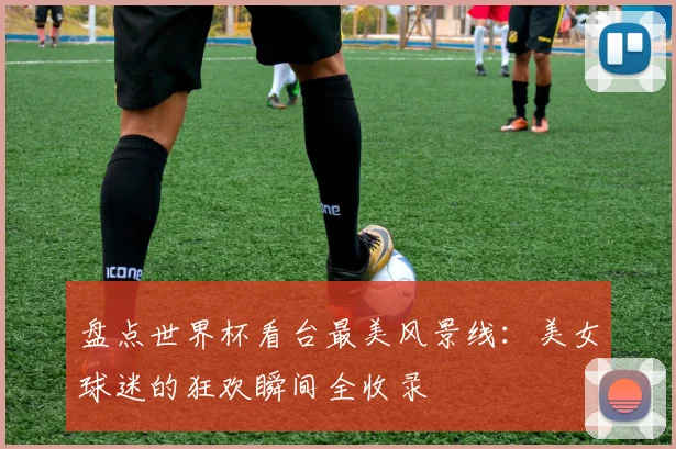 盘点世界杯看台最美风景线:美女球迷的狂欢瞬间全收录