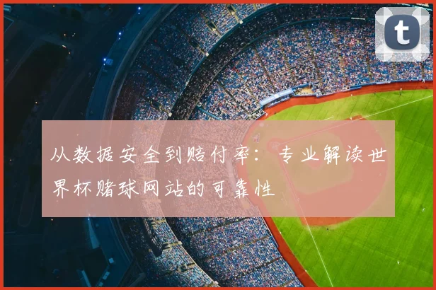 从数据安全到赔付率:专业解读世界杯赌球网站的可靠性