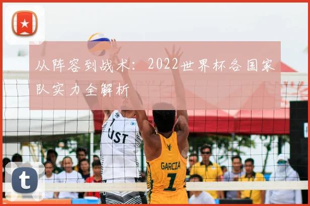从阵容到战术:2022世界杯各国家队实力全解析