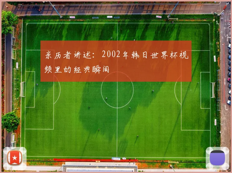 亲历者讲述:2002年韩日世界杯视频里的经典瞬间