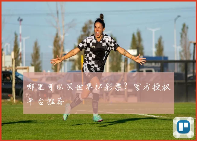 哪里可以买世界杯彩票?官方授权平台推荐