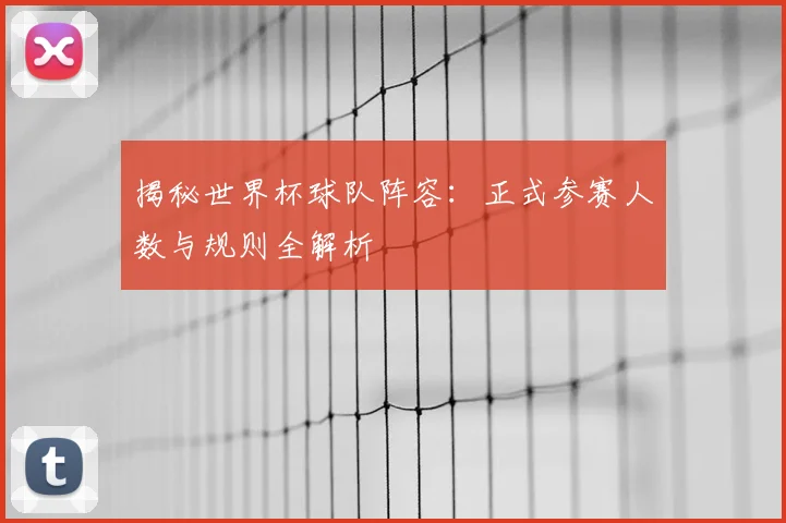揭秘世界杯球队阵容:正式参赛人数与规则全解析